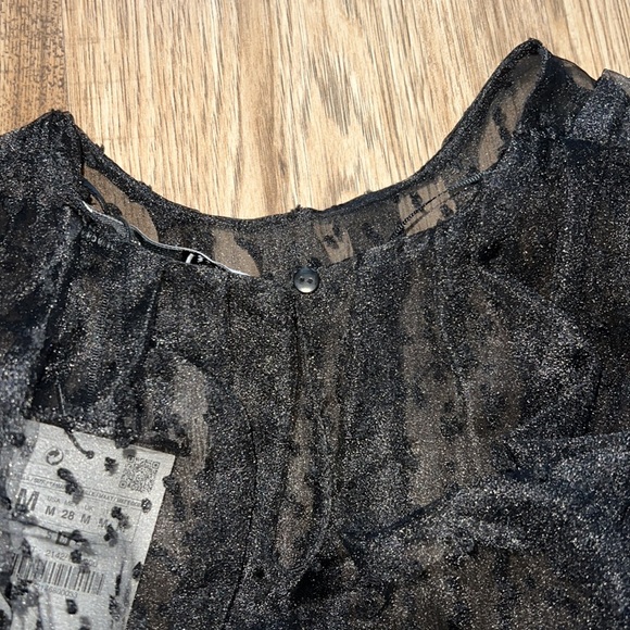 NEW! Zara Dotted Mesh Sleeve Dress - Picture 9 of 9